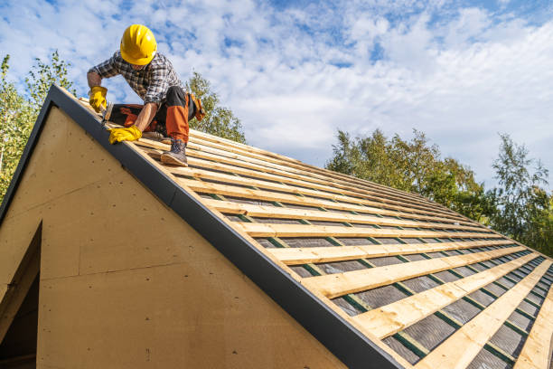 Best Gutter Installation and Roofing  in Belmont, MS